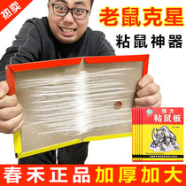 Super strong sticky mouse board to catch and stick big mice paste glue repellent medicine to kill rat catching artifact nemesis household a nest end