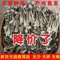 Antler mushroom antler mushroom dry goods 500g Yunnan specialty fresh antler mushroom nutritional mushroom mushroom dried shiitake mushroom