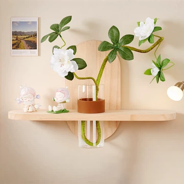 水培绿植挂画组合-水培绿植挂画组合促销价格、水培绿植挂画组合品牌- 淘宝