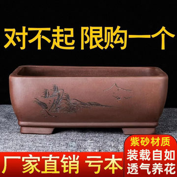 竜盆 長方形盆 紫砂盆 中国「紫砂盆器」最高峰『宝山窯』との挑戦 : 雨