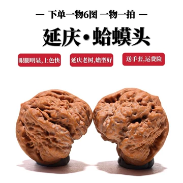 文玩核桃之——金蟾蛤蟆头- 知乎