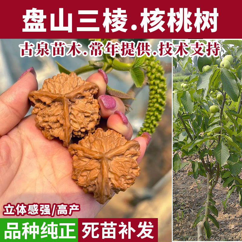 盘山三棱配对核桃-盘山三棱配对核桃促销价格、盘山三棱配对核桃品牌- 淘宝