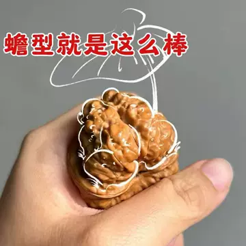 文玩核桃 蛤蟆头 文玩核桃蛤蟆头球连三棱生命之源形球连罕见