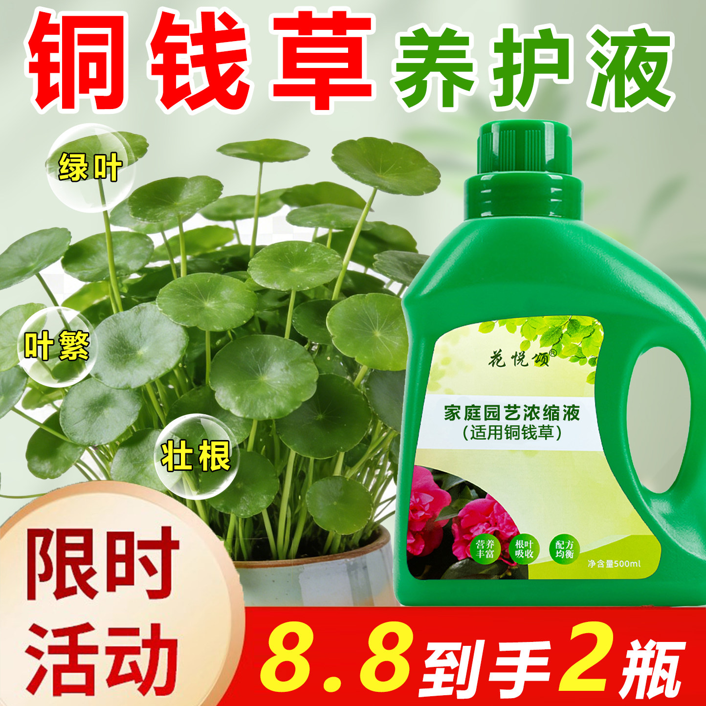 铜钱草水培营养液-铜钱草水培营养液促销价格、铜钱草水培营养液品牌- 淘宝