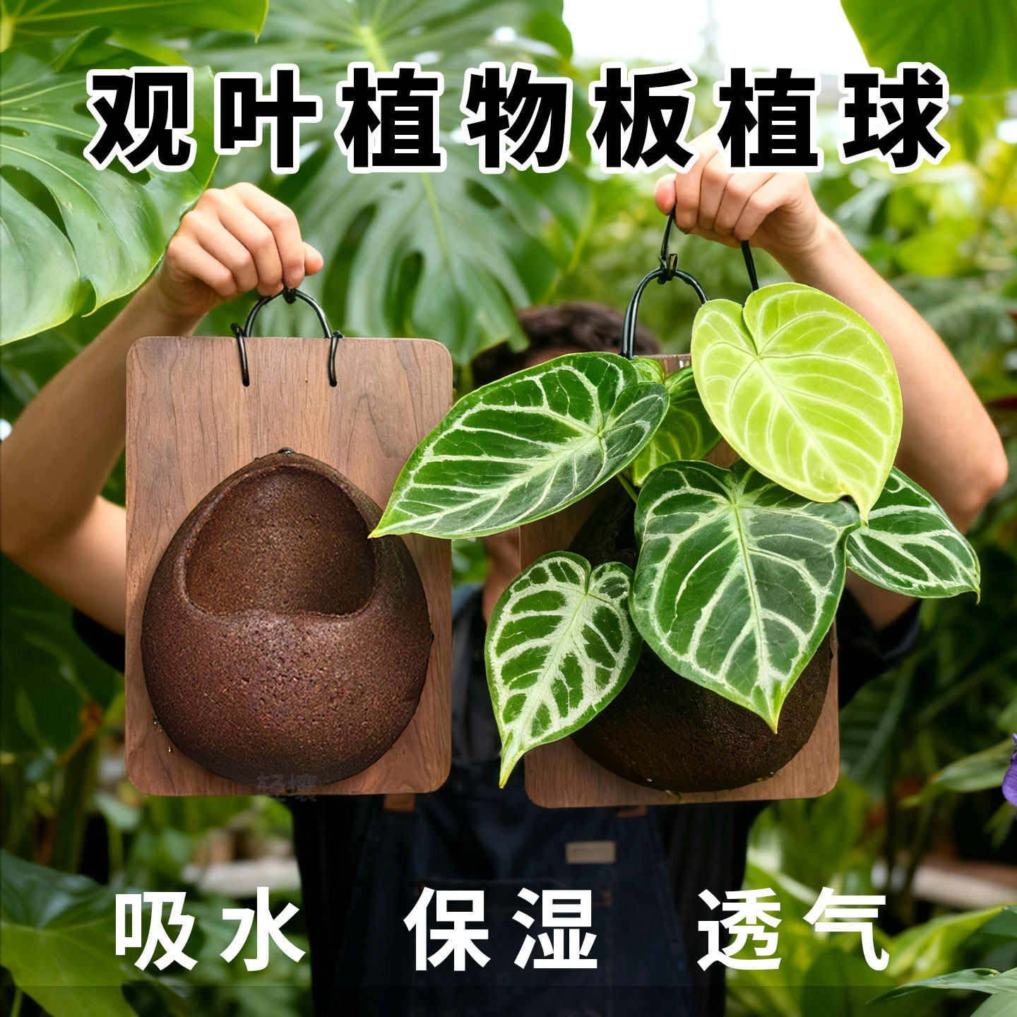 水晶兰-水晶兰促销价格、水晶兰品牌- 淘宝