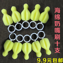 10-pack high-quality sponge pacifier brush Suitable for wide-mouth standard caliber bottle cleaning pacifier