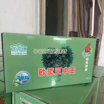 Mortar Wang Zhong Wang Yicheng brand boutique concentrate liquid construction wall plastering interior and exterior wall cement additive