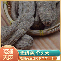 Yunnan Zhaotong Tianma dry goods Dawu Tianma 500g Natural Chinese medicine fresh non-wild premium Shou Wu tablet powder