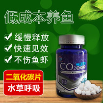 Fish tank water grass carbon dioxide CO2 effervescent tablets aquarium landscape grass tank explosion algae yellow leaf CO2 generator