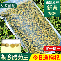 Chrysanthemum tea authentic head picking Tongxiang chrysanthemum King 250g super white chrysanthemum Wolfberry chrysanthemum tea new flower bulk