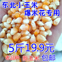 Spherical butterfly-shaped popping flower small corn burst corn new goods 5kg Popcorn special small corn corn corn Bud raw material