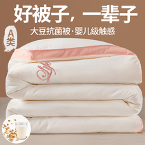 Soybean Fiber Quilt Winter Quilt by Spring and Autumn Double Winter Dormitory Single Autumn Winter Quilt with Core Cotton Thickened Warm Winter