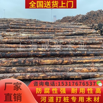 River engineering pine pile round wood Australian pine log with skin pine 4 M 6 m piling timber flood control barge pile