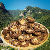 Fuppinte production of selected deep mountain small shiitake mushroom species mushrooms when season new stock cut root meat thick mushrooms 500g