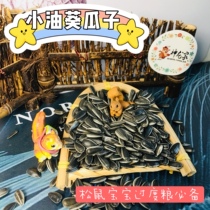 New product on the new Dragon House Demon King snow squirrel staple food golden flower grain small oil sunflower seeds 500 grams