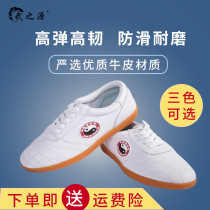 Wu Zhi Yuan Tai Chi shoes Womens leather soft beef tendon martial arts shoes mens spring and summer breathable sneakers Tai Chi practice shoes