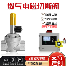 Industrial commercial gas emergency shut-off valve DN32 40 50 solenoid valve natural gas leakage explosion-proof alarm