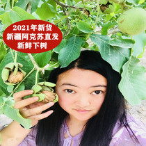 (Fruit farmers self-produced and sold) 2021 new goods Xinjiang Aksu 185 paper walnut plain thin skin fresh seasonal dried fruit