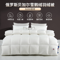 Russian imported 99 white goose down duvet thickened warm winter quilt five-star hotel double spring quilt quilt quilt core