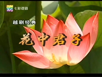 Yue Opera TV series Hua Zhong Gentleman Tang Xiaoling Wang Qing Zhang Yufeng Wu Qun Tao Diamond Yi Jin Ye 2DVD