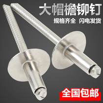 304 stainless steel large brim blind rivets Large flat head pull mortise nail Large head willow nail Large brim pull rivet steel nail