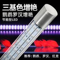 Fish tank lamp LED lamp lighting lamp waterproof aquarium Luohan Red Dragon parrot fish special lamp three basic color enhancement lamp