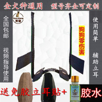 Depherds Ear Wolf Green Durbin Straightener Aligner Slats Pet Dog Ear Stand Ear stand Dog stand