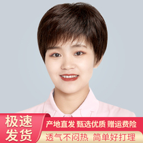 Wig short hair female summer breathable simulation hair Full real hair full headgear Middle-aged mother young short straight hair