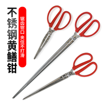 Yellow eel clip stainless steel lobster fish clamp lengthened trap loach pliers anti-slip and anti-arrest special catch-up to catch sea deity