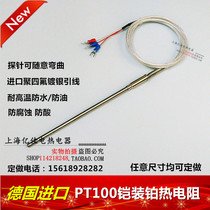 Imported PT100 armored thermal resistance WZPK-191 Needle-shaped platinum thermal resistance probe thermal resistance thermocouple