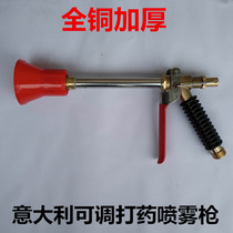 Italian pesticide water gun spray machine plunger pump fruit tree garden high pressure agricultural ceramic spray gun nozzle