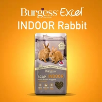 Spot Buggs indoor rabbit grain Burgess new products 1 5kg 2022 9 22 validity period