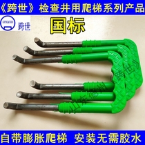 Factory direct sales plastic steel ladder inspection well caisson cable well fire pool with expansion step national standard