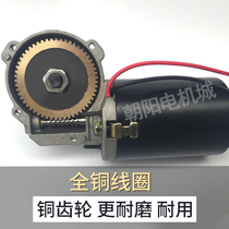 Chaoyang motor Worm gear worm motor self-locking 12v 24v DC gear motor Copper turbine shaft washing keyway
