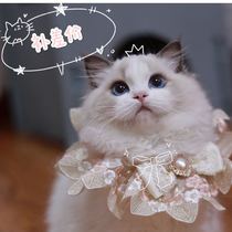 FairyElf)Make up the difference special deworming can also be taken (Private chat customer service