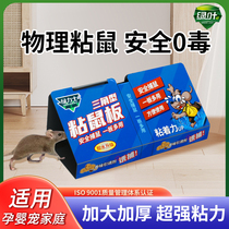 Mouse sticker powerful sticky rat plate powerful adhesive large mouse thickened triangular home rat deity 2023 new