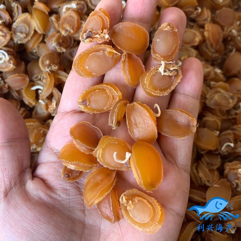 Dalian Dried Abalone 500g Soup porridge Small abalone dried aberdeen Non-ready-to-eat fresh seafood products Dried dried abalone