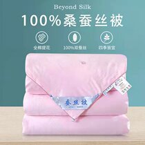 Handmade silk quilt 100% mulberry silk summer cool by air conditioning quilt by spring autumn quilt winter quilt with thickened primary and secondary quilt core double