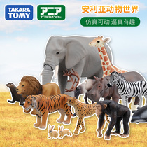 Japan TOMY domikaanlia simulation animal model tiger lion elephant giraffe childrens toy