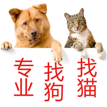 Mr Qiyi professional search for pet cats and dogs lost and found objects to find cats and dogs team