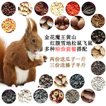 Squirrel food staple feed big-eyed flying squirrel young rat milk rat eating food package nut pine nut pine pine melon seed