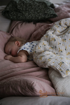 Spot Swedish Garbo & Friends Children Cover Blanket Baby Blanket Kids Blanket