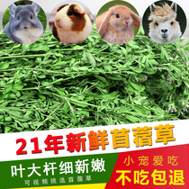 Purple Flower Clover Grass Gross 1kg Rabbit Clover Grass Dragon Cat Guinea Pig Dried Grass Rabbit Grass Rabbit Grain Dutch Pig Grass