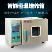 Incubator 303 Electric constant temperature incubator Seed germination box Bacterial microorganism incubator QS