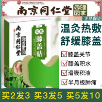 Nanjing Tongren Church Agrass Ginger Knee Pain Patch Aiba Moxibustion Sticking Slip Film Pain Joint Old Chill Leg Plaster Patch