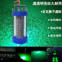 220V600W underwater lure light Fish collection light Green led underwater light Swallow fish blow tube squid lure light