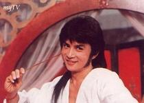 DVD player DVD (Deer Tripod) Li Xiaofei Zhou Shaodong 36 episodes 5 discs