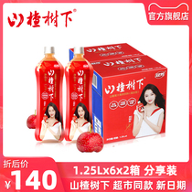 Guanfang Hawthorn under Hawthorn Tree Hawthorn Fruit Meat Drink (mixed type) 1 25L * 6 bottles x2 box full box drink