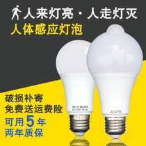 Human body induction lamp microwave radar led infrared intelligent delay bulb stair aisle home garage automatic
