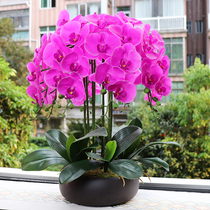 Upscale fake flower ultra-real oversized potted yellow butterfly Lan emulation flower suit living room Xuanguan Decorative Floral Pendulum